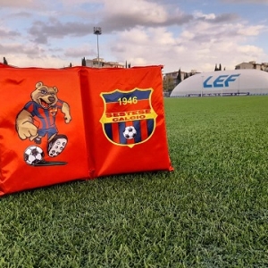 idea regalo cuscini da stadio